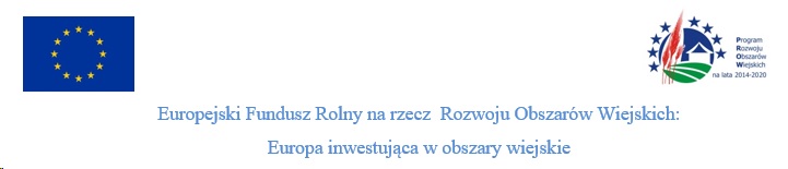 logo Eurpejski fundusz rozwoju obaszarow wiejskich