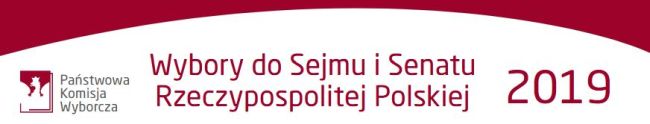 wybory 2019 www